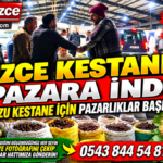 DÜZCE KESTANESİ PAZARA İNDİ: TOPTANCI PAZARINDA KIYASIYA PAZARLIKLAR BAŞLADI