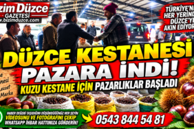 DÜZCE KESTANESİ PAZARA İNDİ: TOPTANCI PAZARINDA KIYASIYA PAZARLIKLAR BAŞLADI