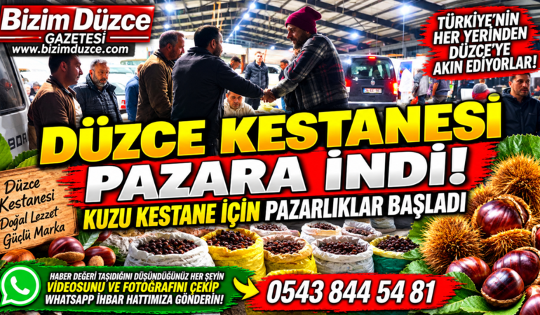 DÜZCE KESTANESİ PAZARA İNDİ: TOPTANCI PAZARINDA KIYASIYA PAZARLIKLAR BAŞLADI